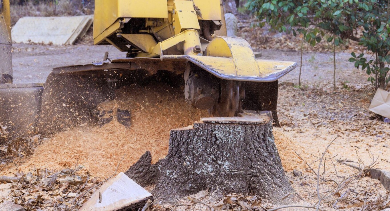 Stump grinding equipment removing tree stump from residential property